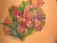 тату цветы ириса на лопатке