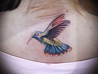 Тату птицы колибри