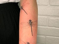 Тату стрекозы на руке