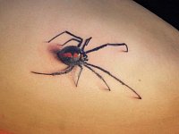 тату паук 3d