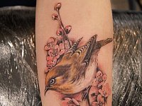 тату птица на ветке сакуры