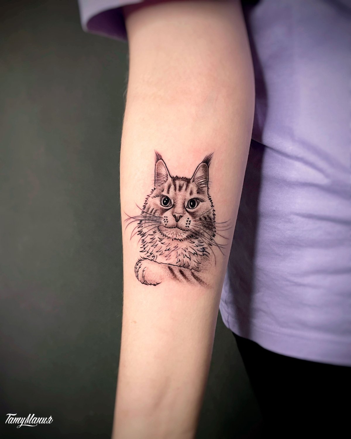 Татуировка кот на предплечье