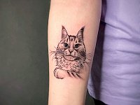 Татуировка кот на предплечье
