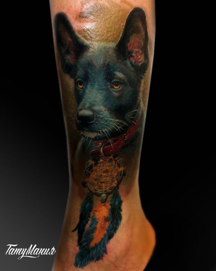 Тату собака и ловец снов