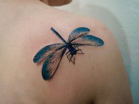 Тату стрекоза у девушки на лопатке