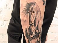 Тату конь на руке