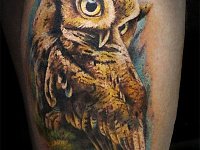 Тату совы на икре