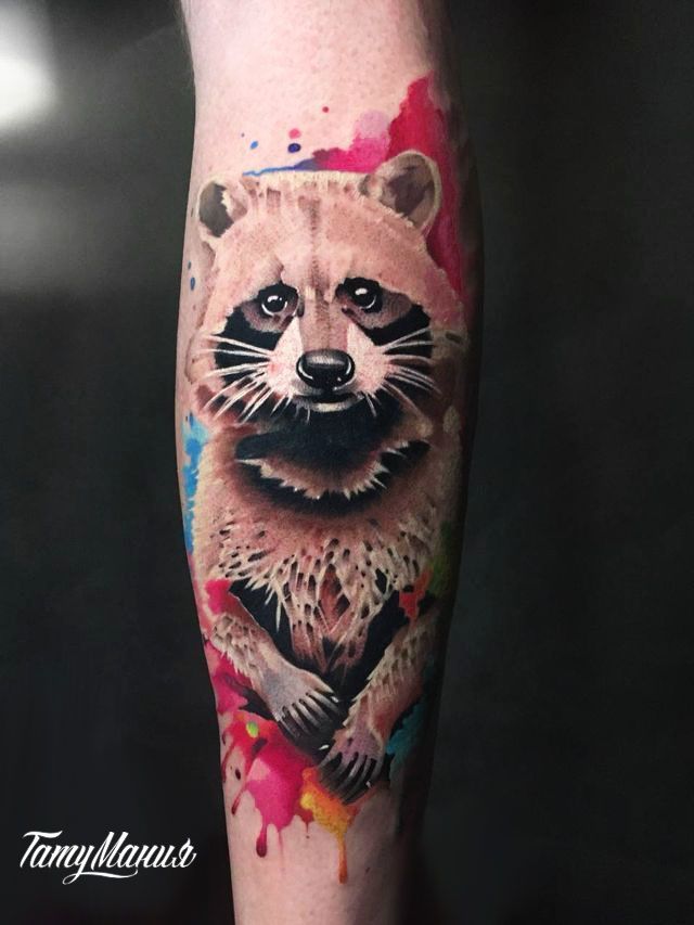 Тату енот акварель