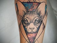Тату кот на руке