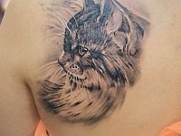 тату кошка стиль реализм