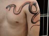 Тату змея