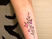 Тату полевые цветы на предплечье