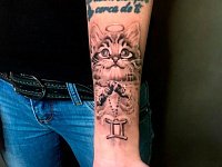 Тату котенок на предплечье