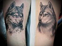 Парные тату волки