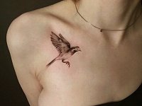 Тату трясогузка на ключице