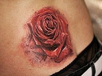 Тату красная роза на пояснице