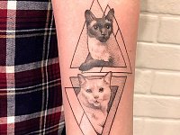 Тату коты в треугольниках