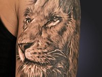 татуировка лев плечо