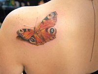 тату бабочка
