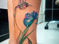 Тату ирис и колибри