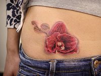 Тату на шраме на животе орхидея