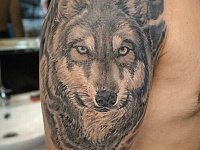 Татуировка в виде волка