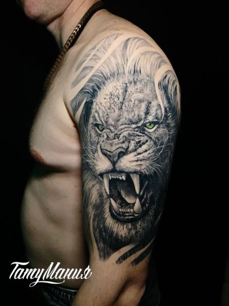 Тату рычащий лев на плече
