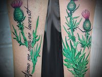 Тату чертополох