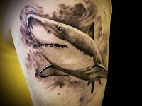 Тату акула на плече
