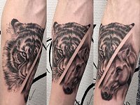 Тату тигр и лошадь