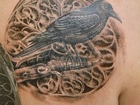 тату грач и орнамент