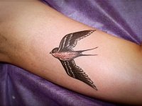 тату ласточка на руке