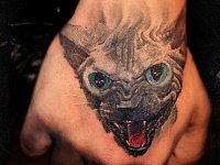 Тату кот на кисти