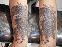 тату японский карп на предплечье