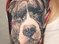Тату питбуль треш-полька