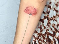 Тату мак на руке