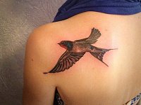 Тату ласточка женская