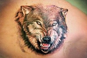 Сделать тату волка, татуировки волка фото и эскизы для Вас - ТАТУ-МАНИЯ.