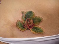 Тату на шраме внизу живота орхидея