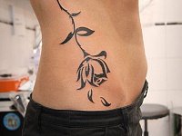 тату роза на боку