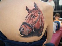 тату лошадь реализм