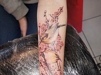 Татуировка птицы на ветке сакуры