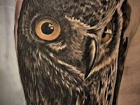 Татуировка филин на плече