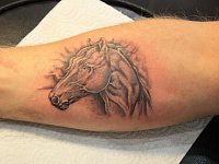 тату лошадь на руке