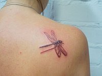 Маленькая татуировка стрекоза
