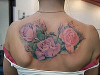 тату розы на спине реализм