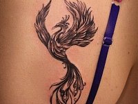 Татуировка на спине феникс