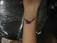 Тату ласточка