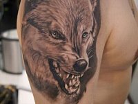Тату волк на плече