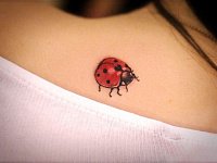 тату божья коровка на спине